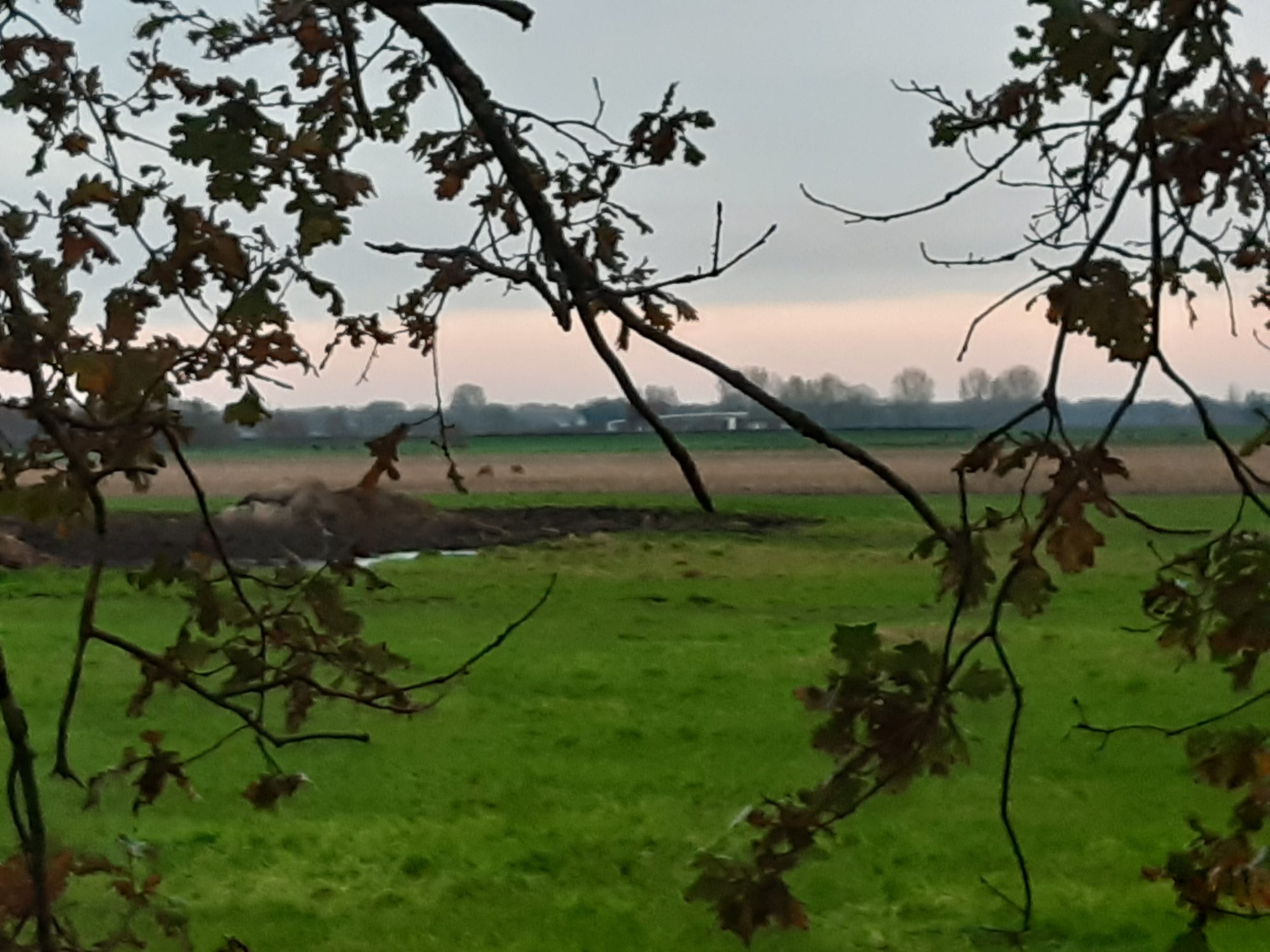 Spirituele wandeling Appelscha