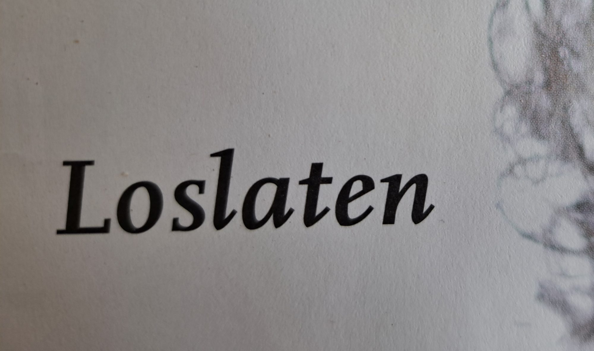 Een ontmoeting over ‘loslaten’